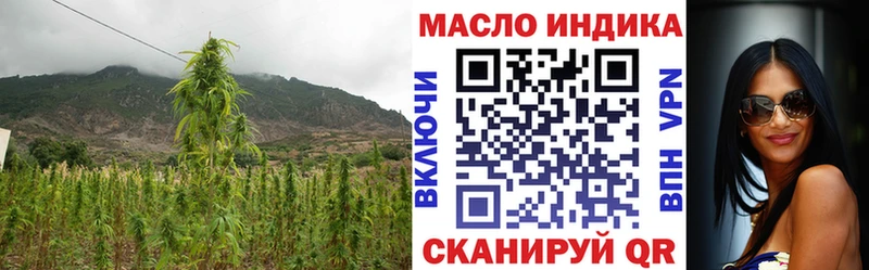 купить  цена  ОМГ ОМГ ONION  ТГК концентрат  Кудрово 